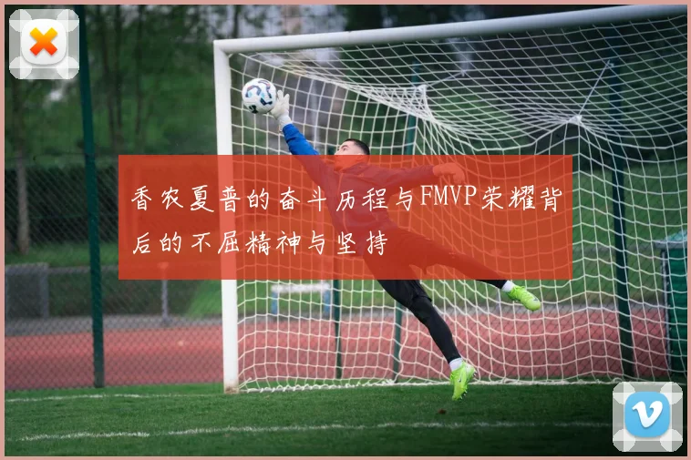 香农夏普的奋斗历程与FMVP荣耀背后的不屈精神与坚持