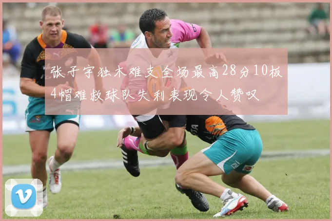 张子宇独木难支全场最高28分10板4帽难救球队失利表现令人赞叹